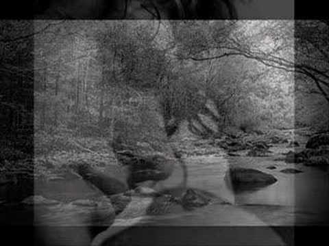 Patti Smith Peaceable Kingdom