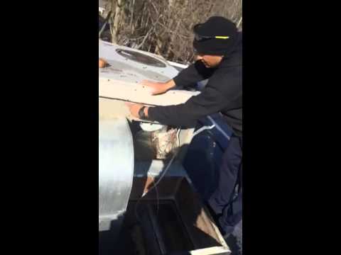 Rubber roofing inspection Brockton MA