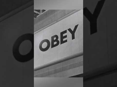 They Live Glasses Scene #obey #theylive #80s #horror #movie #movieclips #film #cinema #glasses