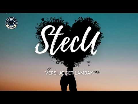 STECU - FARIS ADAM COVER VERSI JOGET LAMBAK ( LAKSMANANA )