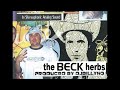 Beck - Readymade (Instrumental) DJ Swamp The Dust Brothers!