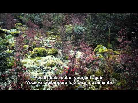 Representing - John Frusciante