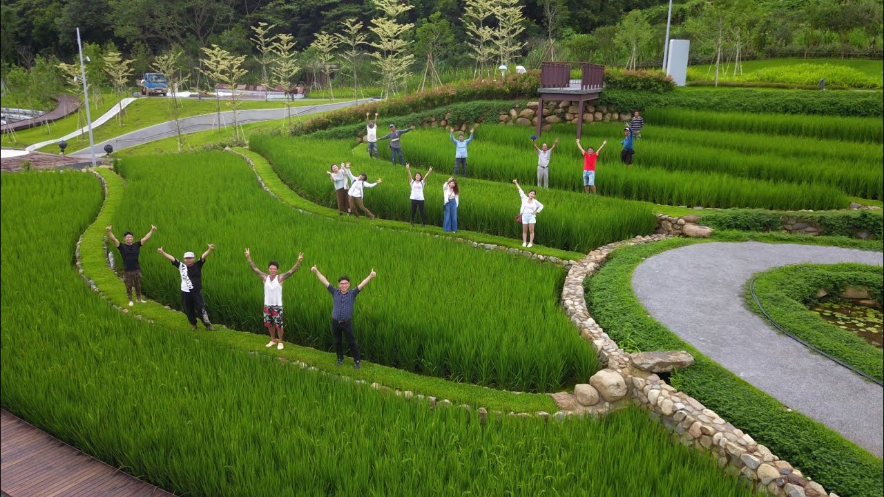 大有梯田生態公園 影片縮圖