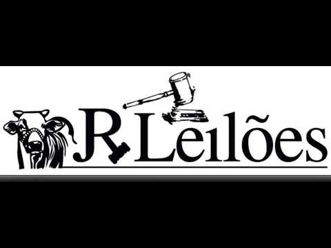JR LEILÕES - VIANÓPOLIS -GO - 11/02/2026