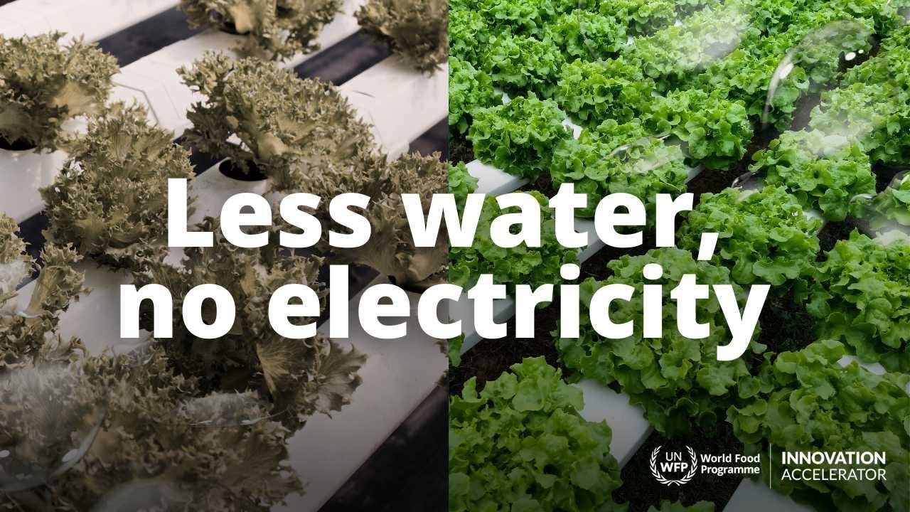 Double the crops with half the water: RDI
