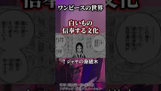 ドーンとルナーリア族についての徹底考察