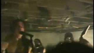 Solace in the Shadows - Faithful Undead