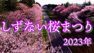 二十間道路桜並木　日本さくら名所100選