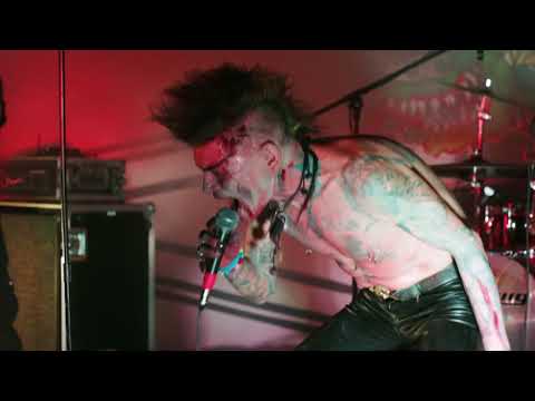 Demented Are Go Crazy Horses.