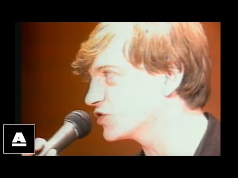 The Fall - Big New Prinz