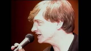 The Fall - Big New Prinz