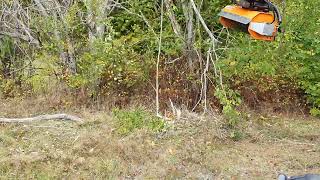 Ahead Mulcher S40 tractor mulcher for sale - Image 4 | Agronetto UG Ahead Mulcher S40 tractor mulcher | Image 4 - Agronetto