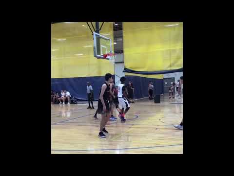 Nick haley highlights