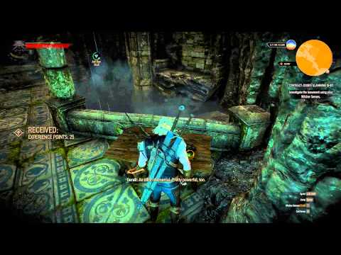 The Witcher 3: Wild Hunt Part 166 (Story and Sword, Blind)