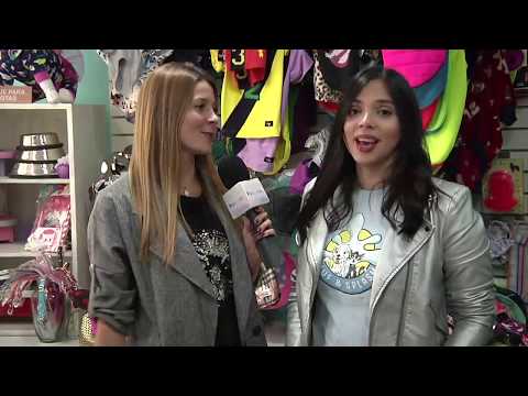 ¿Cómo tener a nuestras mascotas con excelentes cuidados