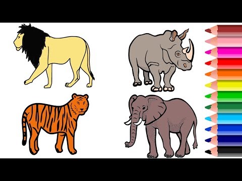 Wild Animal Coloring Pages || Names and Colors || Drawing and Coloring Animals