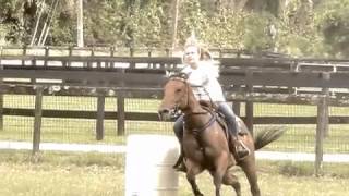 Working the Horses @ Home