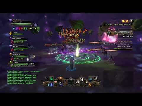 Neverwinter Wizard - Quick Whisker Farm