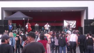 The Caravans - Lost Love Blues