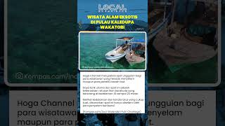 Pesona Hoga Channel: Spot Selam Unggulan dengan Gerombolan Barakuda di Kedalaman Laut Wakatobi