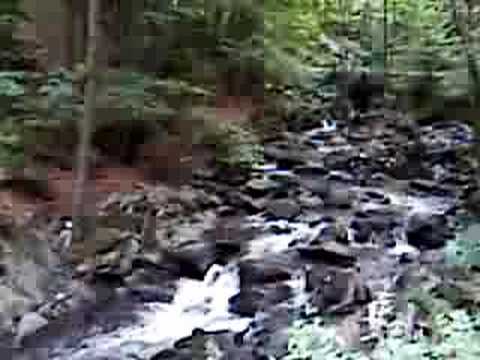 Feketeerdő (2)- Padurea Neagra - 2008.08.09. www.ermellek.eu