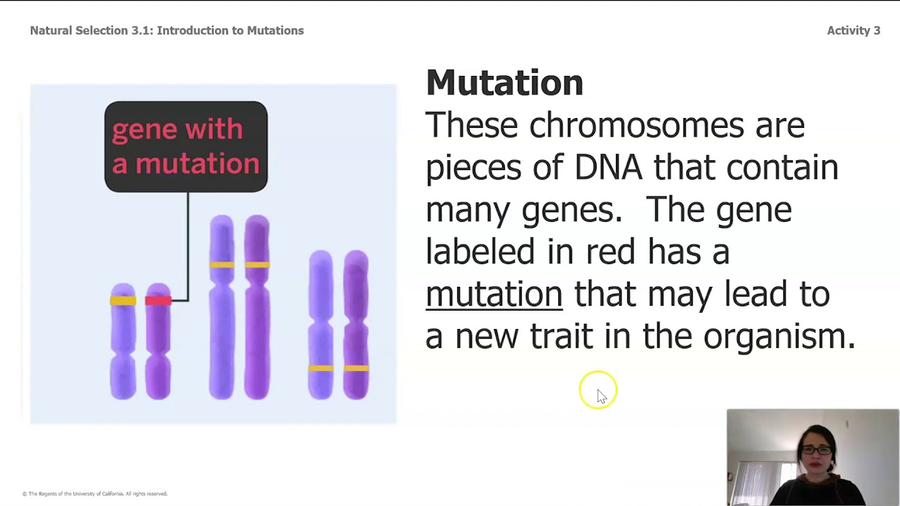 Science, Grade 8, 4/30, Natural Selection