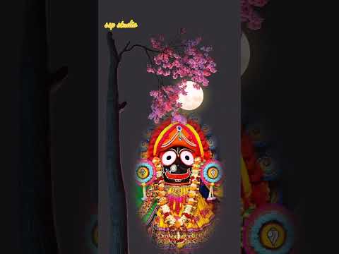 Akasha tharu besi tu udara//Jagannath Bhajan status video 🙏🙏
