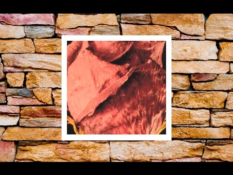 AyoLion & Jaster - BLACK ROSE