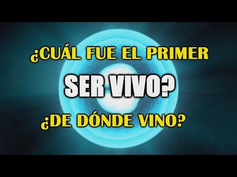 How did life appear on Earth? - Origin of life