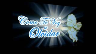 Mi Unico Amor y Como te Voy a Olvidar.wmv