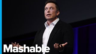 Things Got Weird for Elon Musk on Twitter