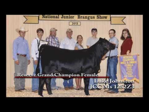 , title : 'NJBS 2013- Bred and Owned Show'