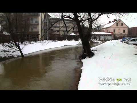 Narasli Globetka in Ščavnica 