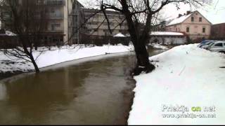 Narasli Globetka in Ščavnica 