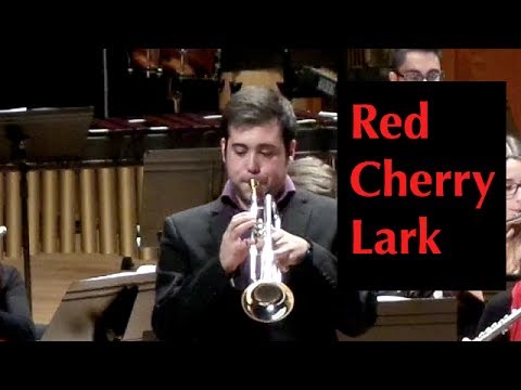Red Cherry Lark (Omar Escobar Gómez, trumpet)