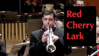 Red Cherry Lark (Omar Escobar Gómez, trumpet)