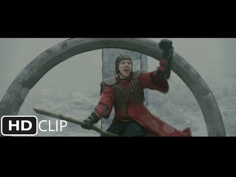 羅恩的第一場魁地奇比賽 《哈利-波特與混血王子 (Ron's First Quidditch Match | Harry Potter and the Half-Blood Prince)