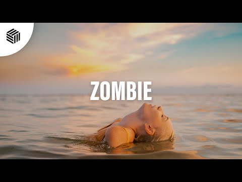 Level 8, MITCH DB & Bryan V - Zombie