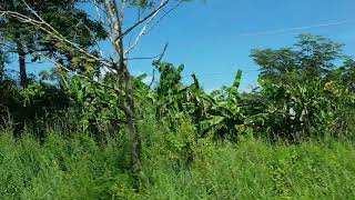 Trip to Ratanakiri Province