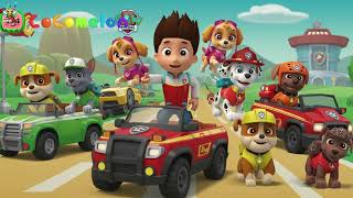 Download the video "Paw Patrol 2"