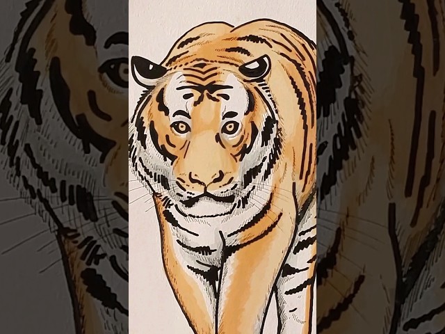Vídeo relacionado con Diseño gráfico de tigre nocturno de criatura misteriosa Sudadera