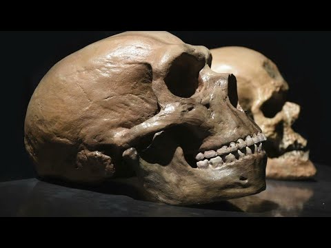 Istorii ascunse: România - leagănul primilor europeni | prima parte (@TVR1)