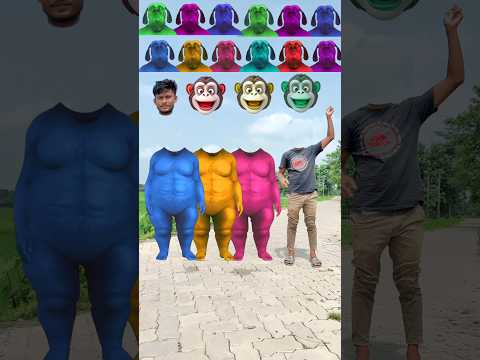 Three purple, blue & green Fatty dog vs cute brothers head matching with tu Radha meri main😄🤣😀songs