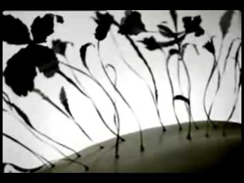 Sekil - Djuvlengere lafija ( Video Butterfly )