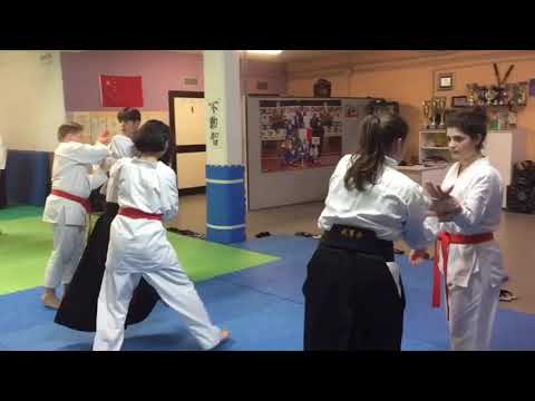 Aikido Kobayashi Ryu training