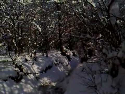 93.DEČKI  ŽUTNICE - Ja se vračam