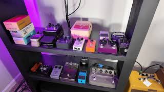 Guitar Collection Tour 2026 | Electric, Acoustic & More