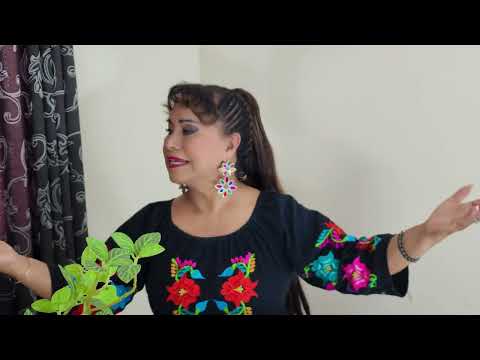 No me dejes mamá - Haydee Raymundo - primicia