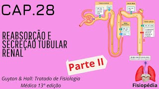 cap. 28: Reabsorção e secreção Tubular Renal (Parte II)