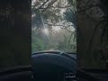Drive Through A Jungle Rural Roads Junglevibes Morningvibes Drivethru Automobile